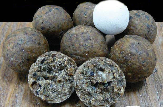 boilies
